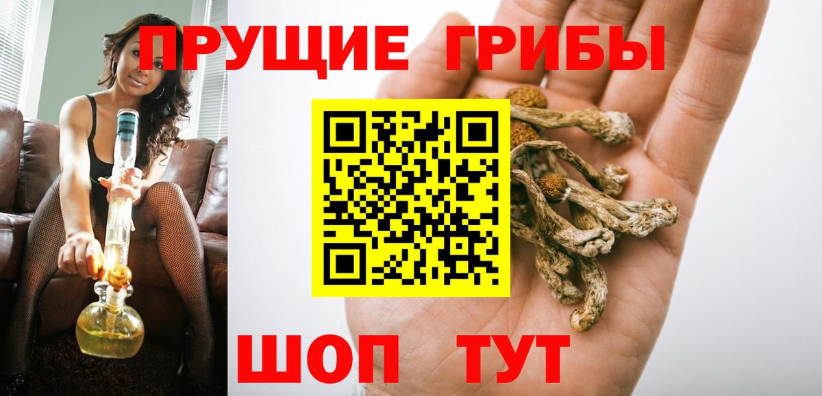 Псилоцибиновые грибы Psilocybe Топки
